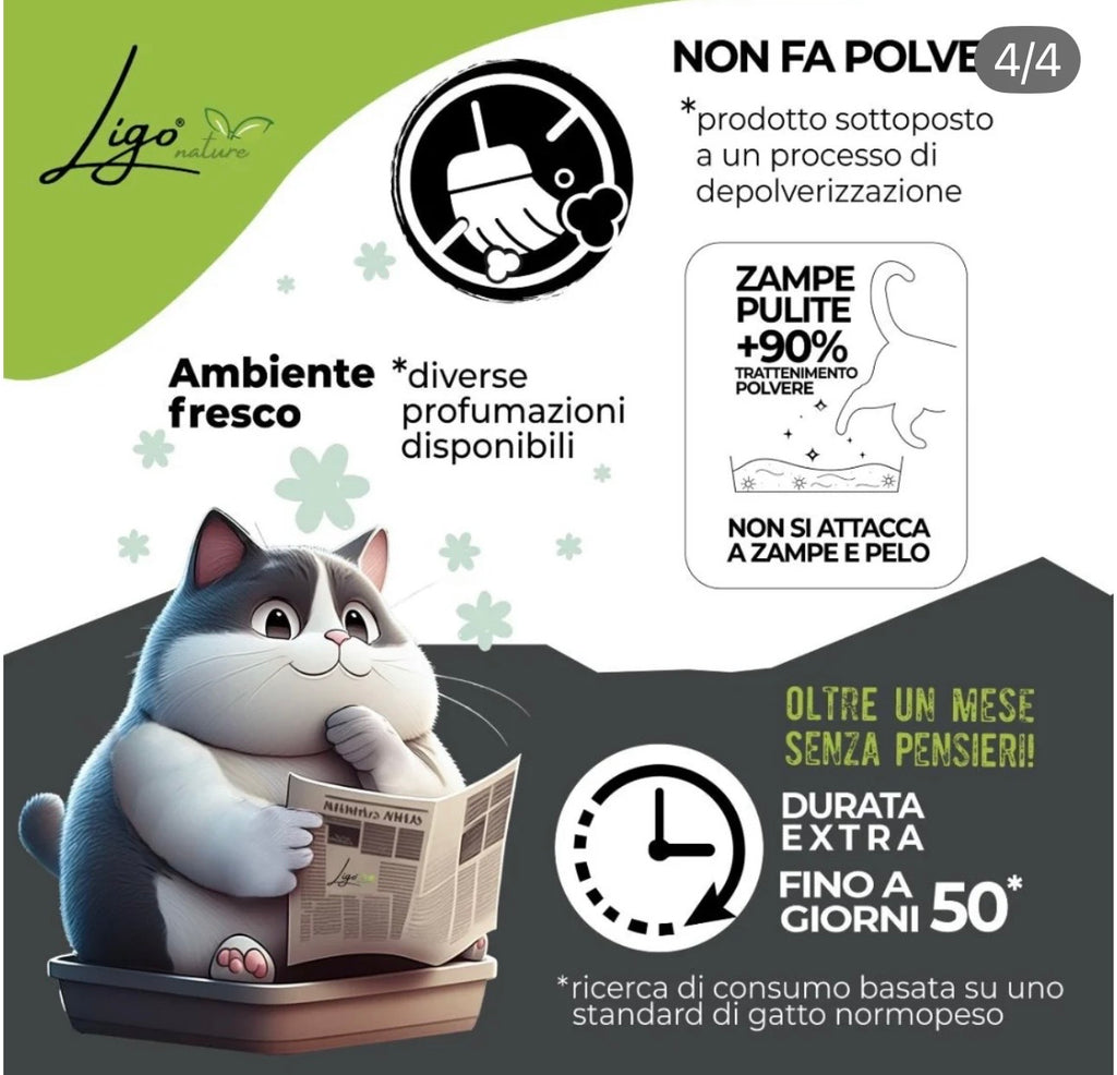 La mia lettiera bentonite 10l
