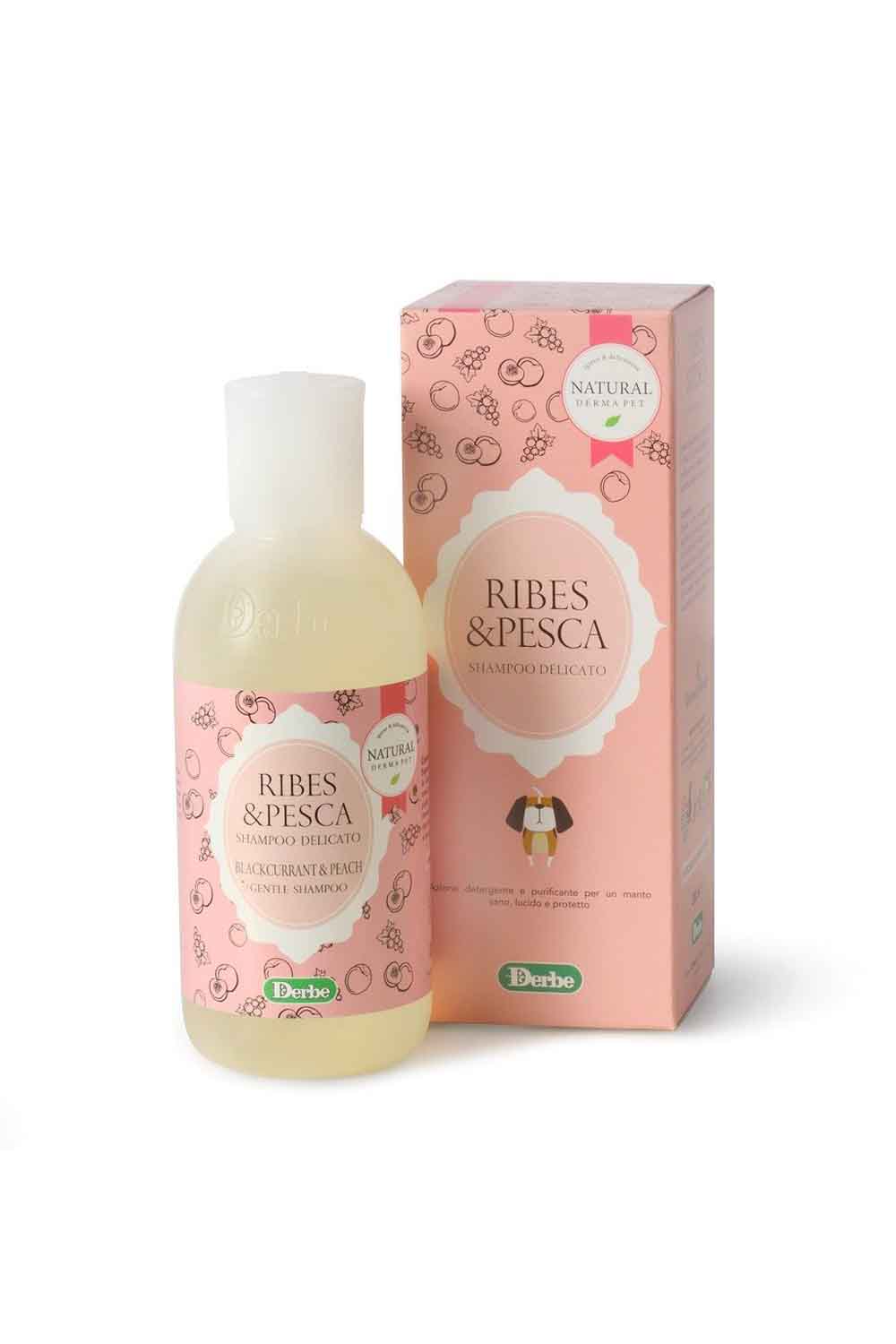 Derbe Shampoo frutta  ribes e pesca 200ml
